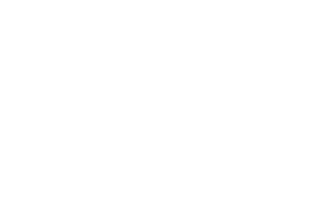 logo NOODUS